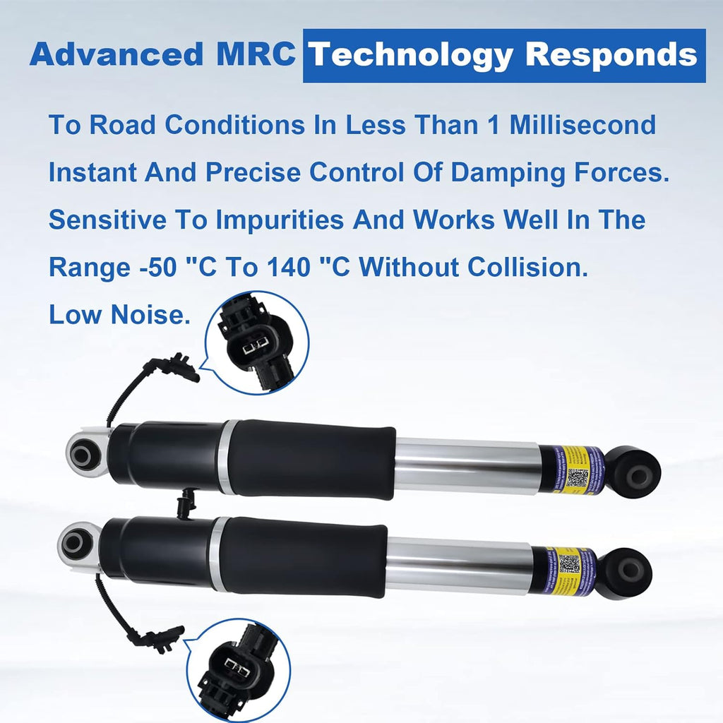 Rear Air Shocks set of 2 X53555