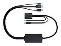 DisplayPort/DVI KVM Cable H452028