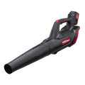 20V Max Cordless Handheld Blower T6479