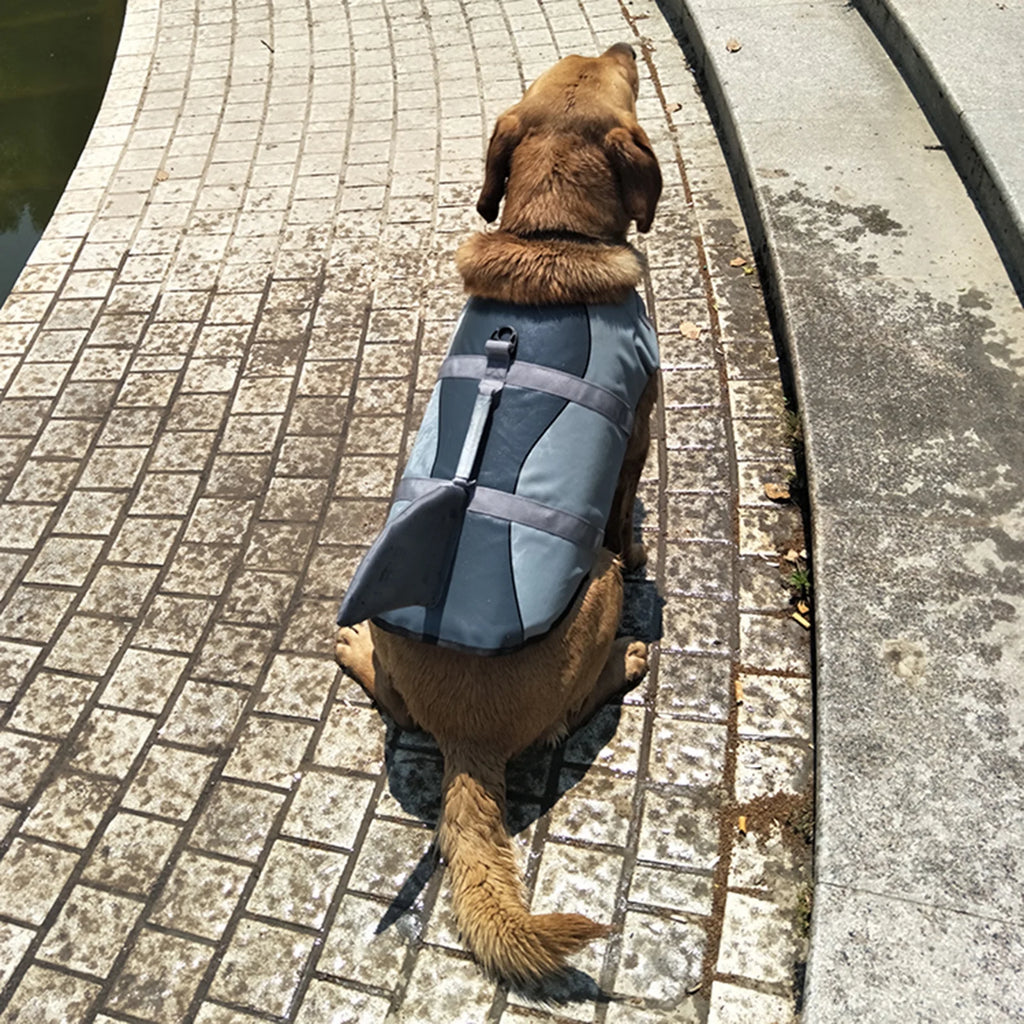 Dog Pet Shark Swimsuit Vest Safety Wear D70357