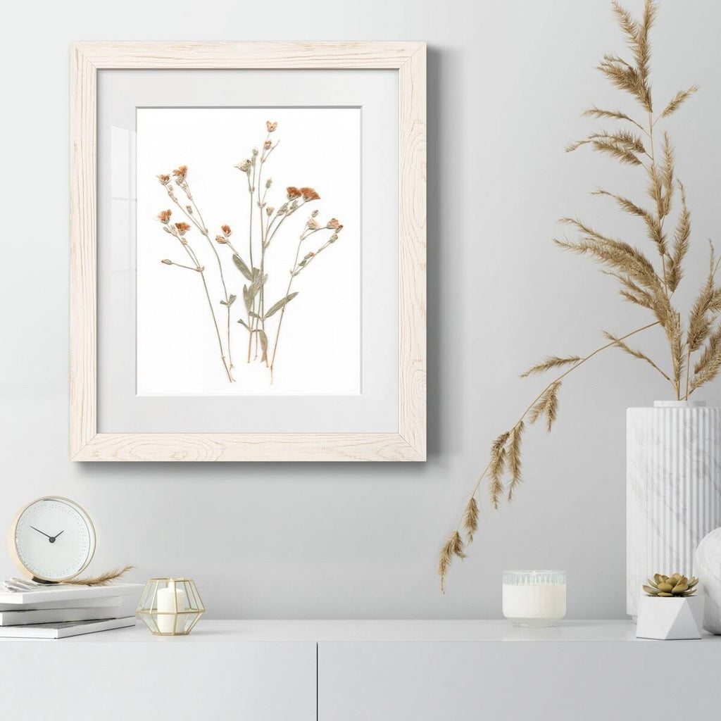 Walnut Framed Print 23X32 S406