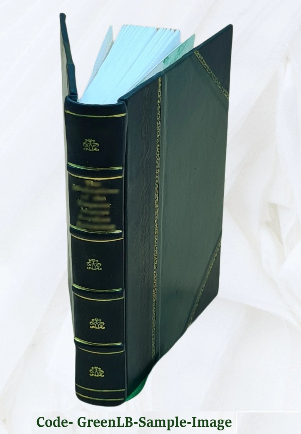 Leather Bound Book X399168