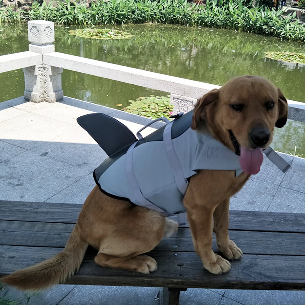 Dog Pet Shark Swimsuit Vest Safety Wear D70357