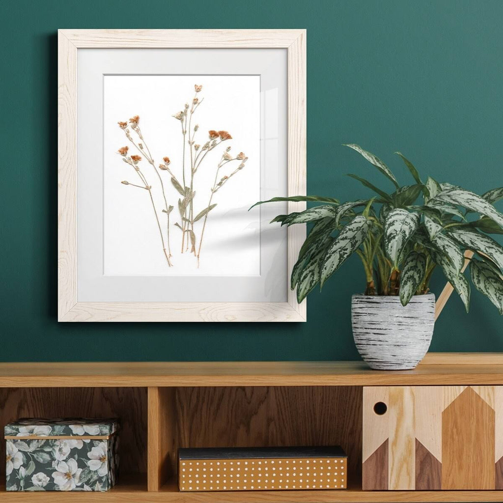Walnut Framed Print 23X32 S406