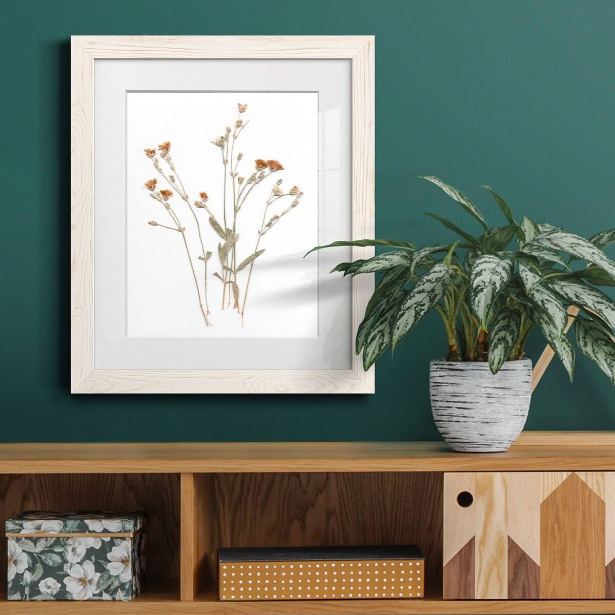 Walnut Framed Print 23X32 S406