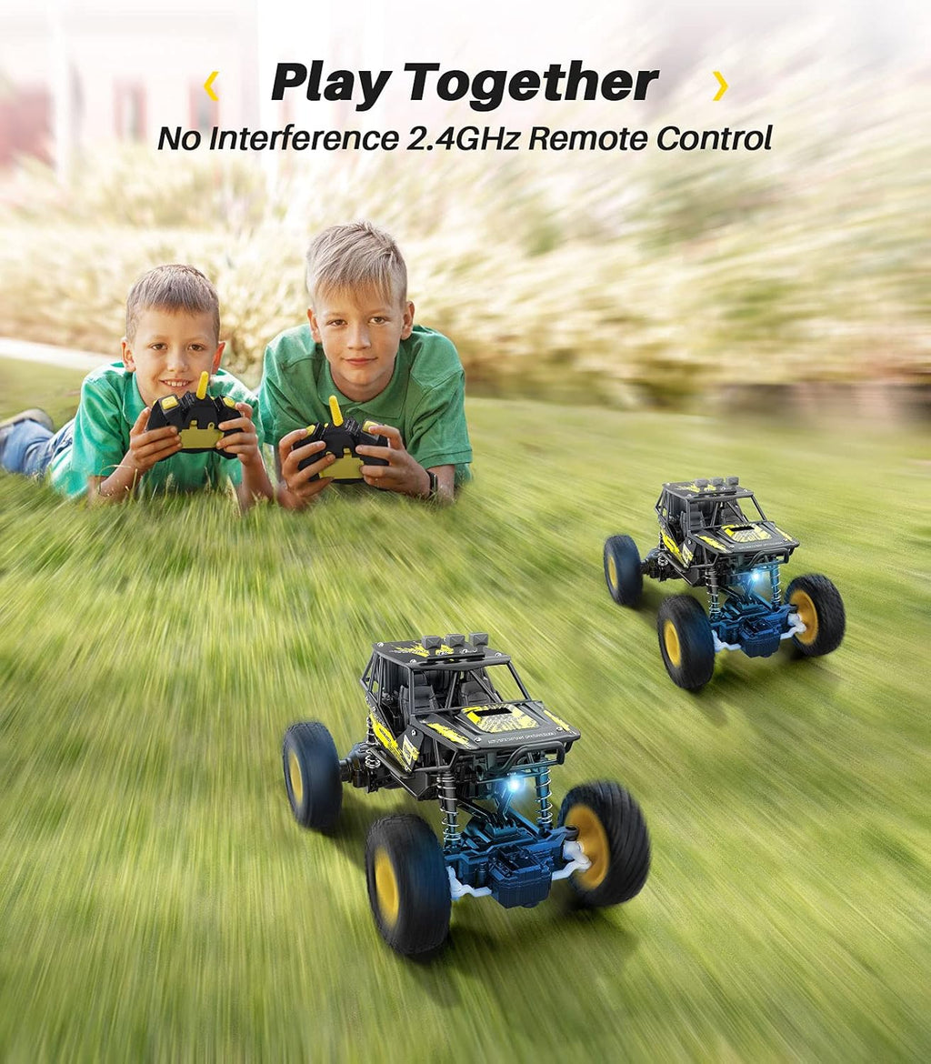 Metal 1:20 Scale 2WD Monster Truck RC Car with 2 Rechargeable Batteries M825663