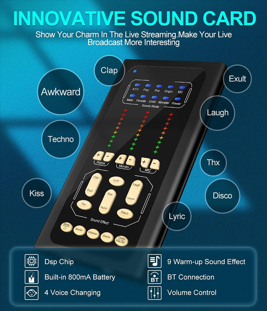 Studio Condenser Microphone USB Live Sound Card Audio Interface F26569