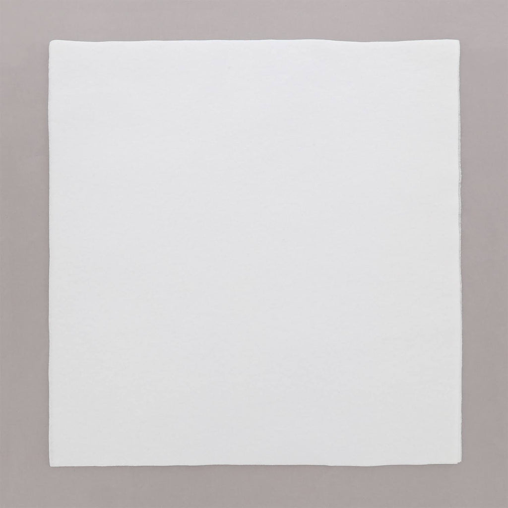 16x22 Airlaid Napkins, Pack of 1000 U765