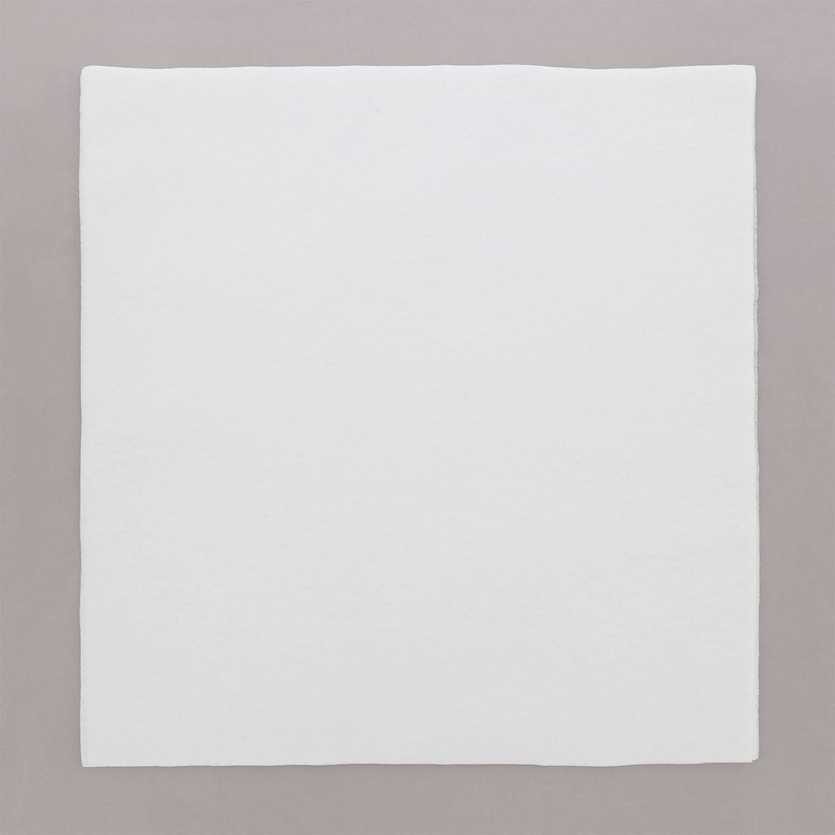 16x22 Airlaid Napkins, Pack of 1000 U765