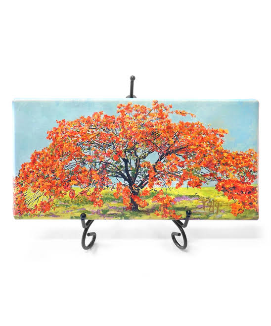 Oceans Canvases M6349