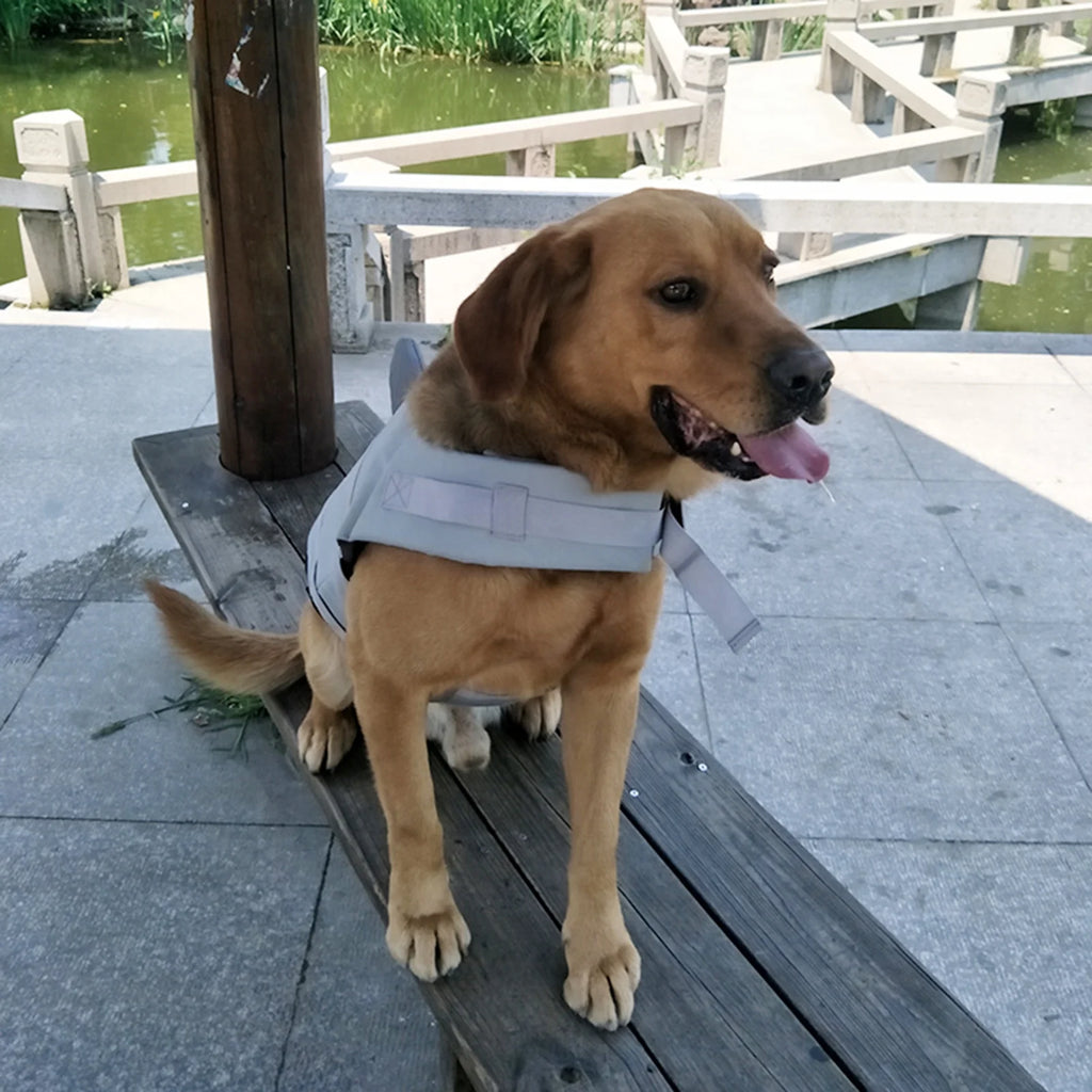 Dog Pet Shark Swimsuit Vest Safety Wear D70357