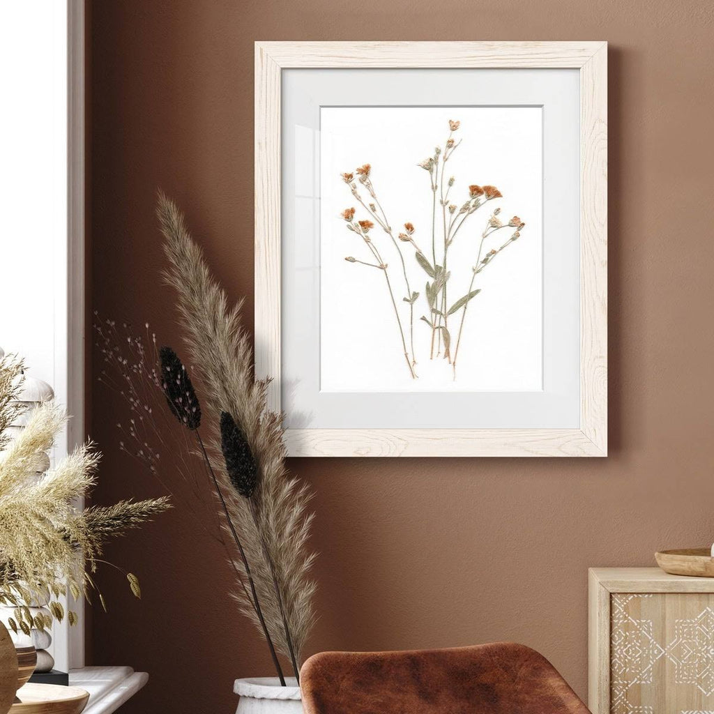 Walnut Framed Print 23X32 S406