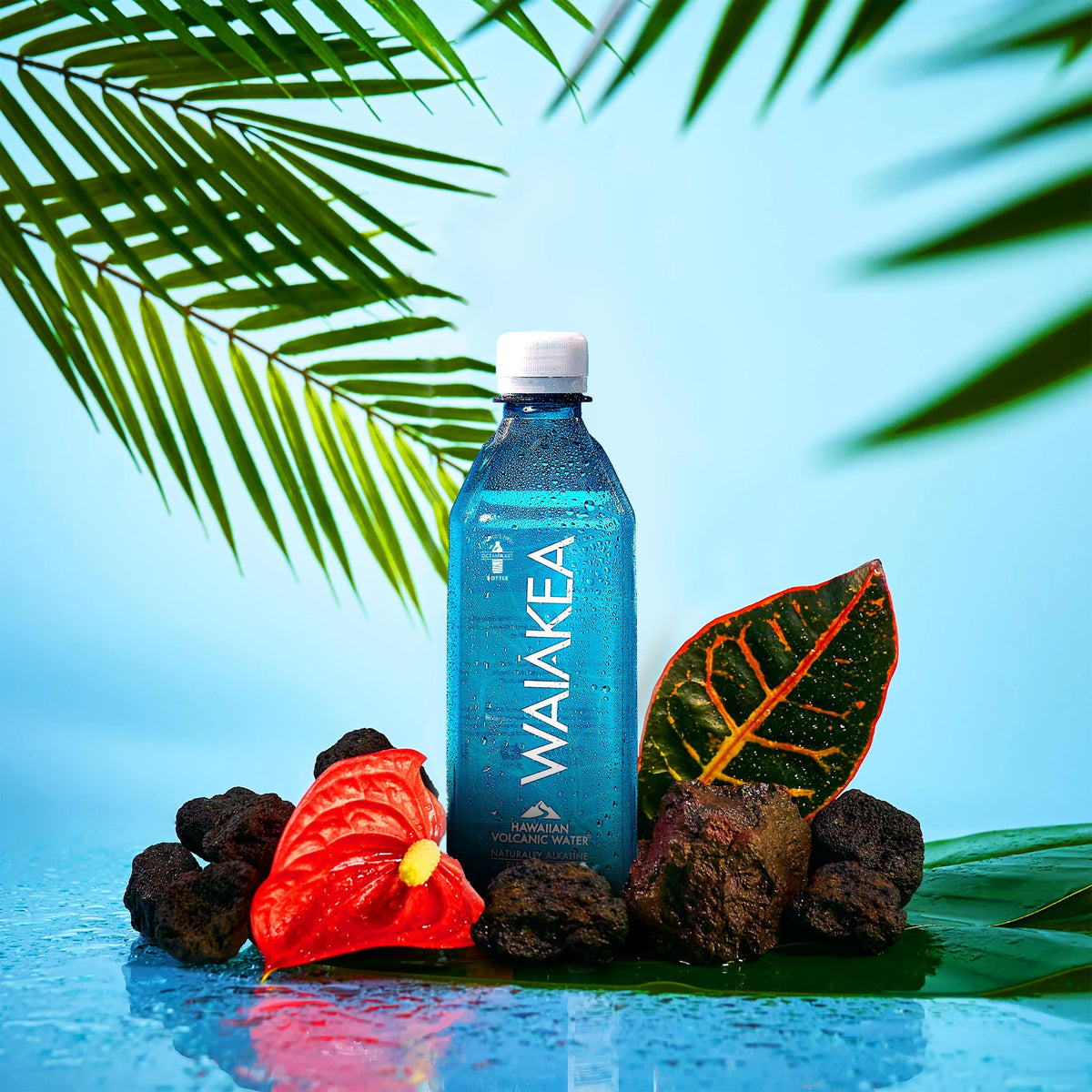12 Pack Naturally Alkaline Hawaiian Volcanic Water 500mL B94526
