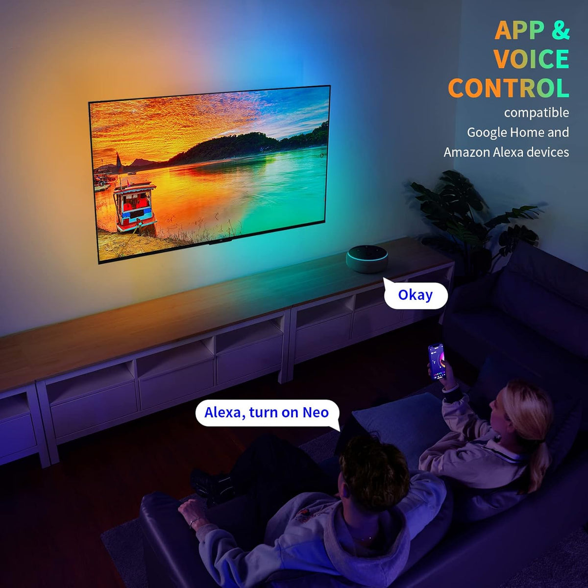 HDMI 2.0 Sync Box & TV LED Backlight Kit D71428