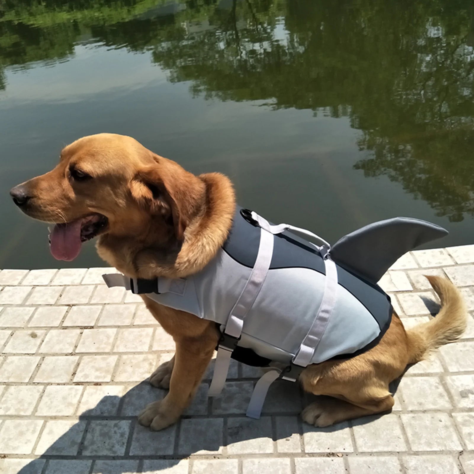Dog Pet Shark Swimsuit Vest Safety Wear D70357