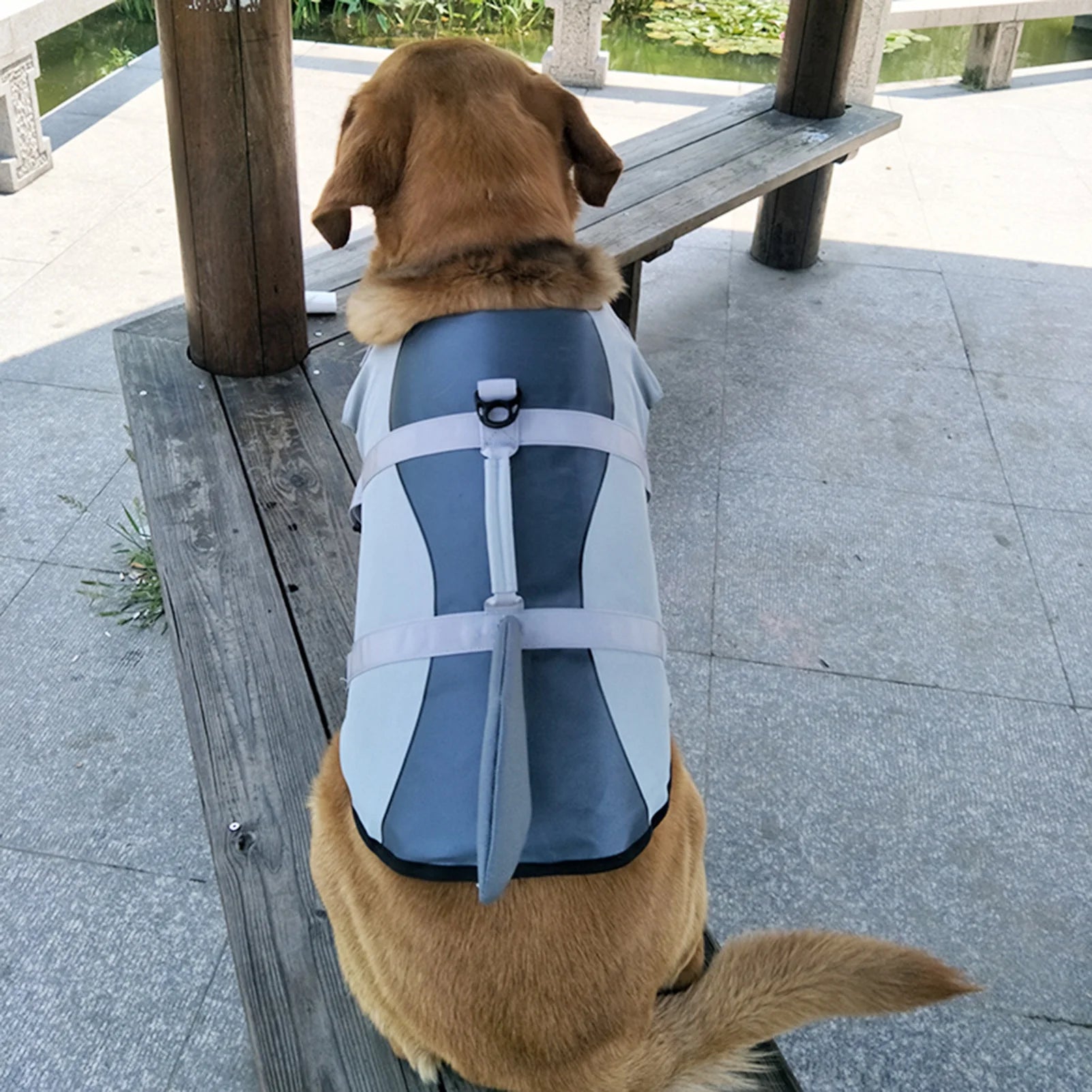 Dog Pet Shark Swimsuit Vest Safety Wear D70357