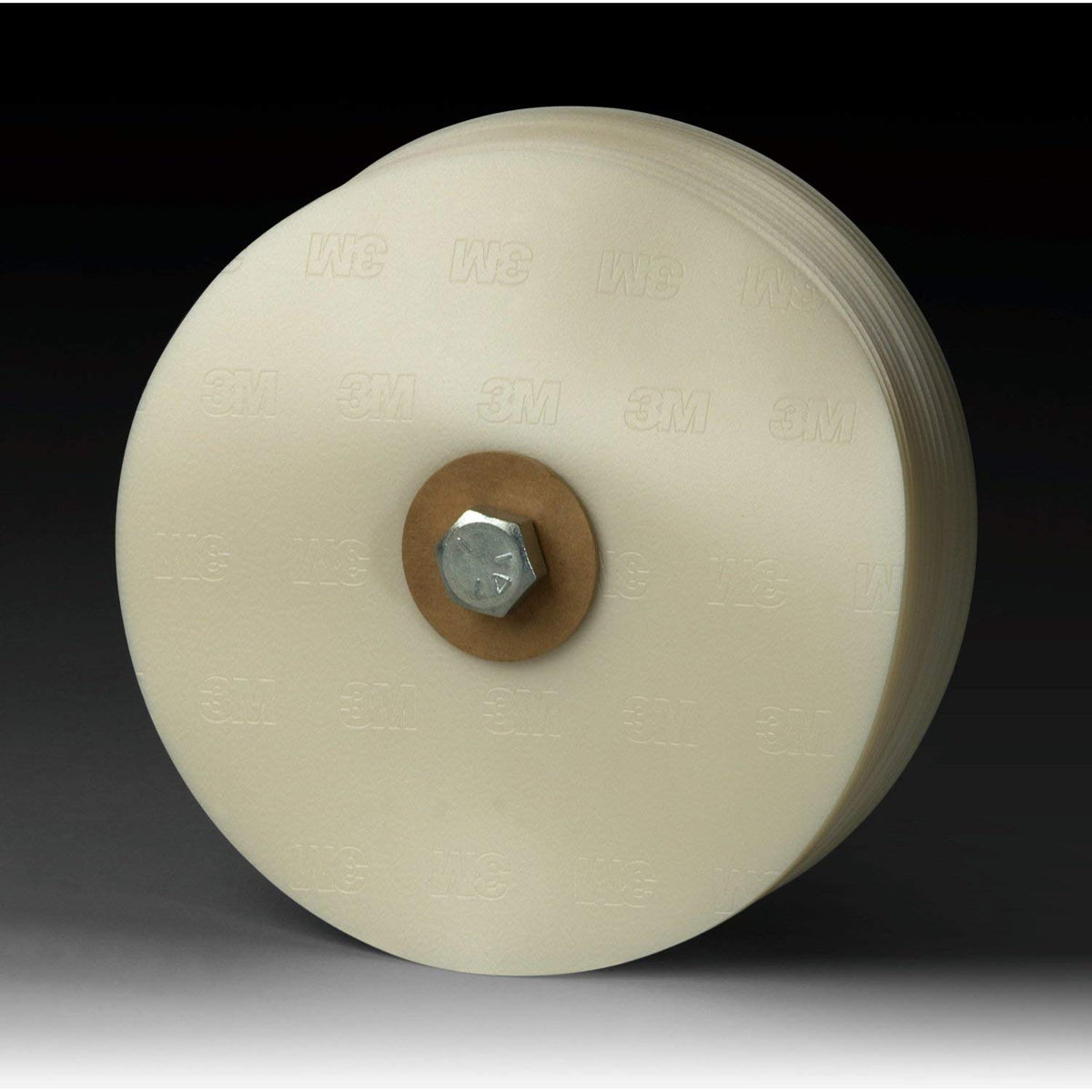 8" x 5/8" Stripe Removal Disc M4781