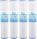 4 Pack Pleated Water Filter Cartridge P531842