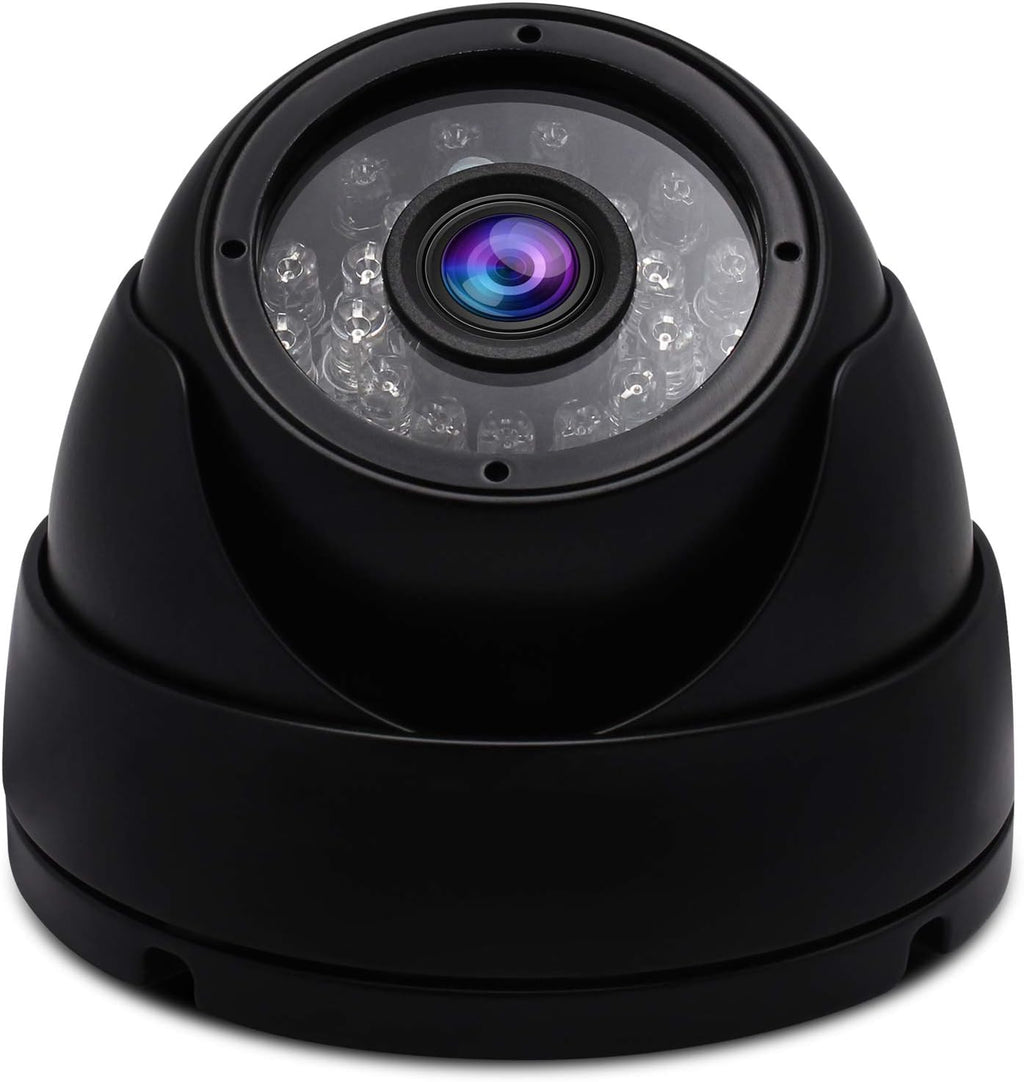 Outdoor Dome Security USB Camera with Infrared LEDs D461
