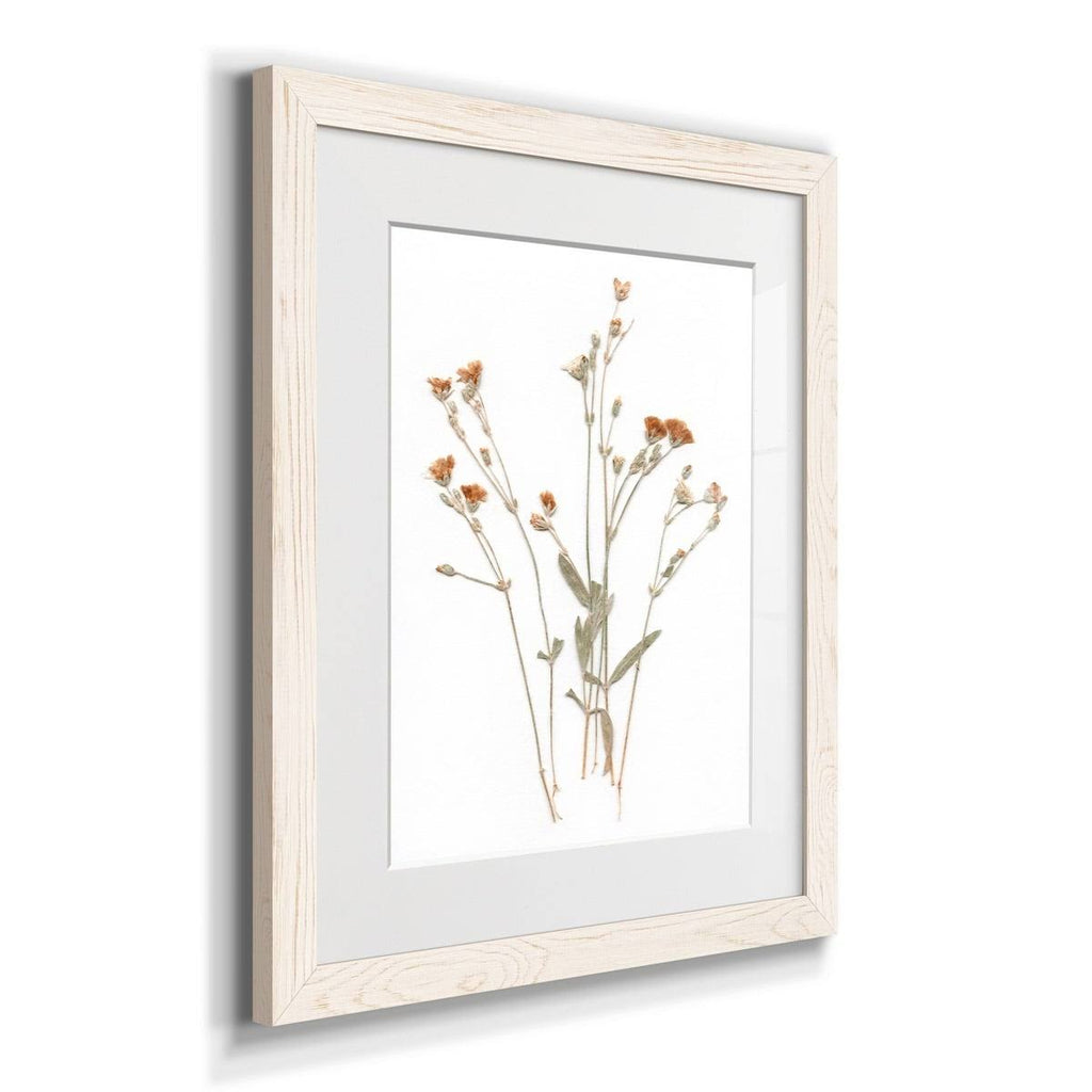 Walnut Framed Print 23X32 S406