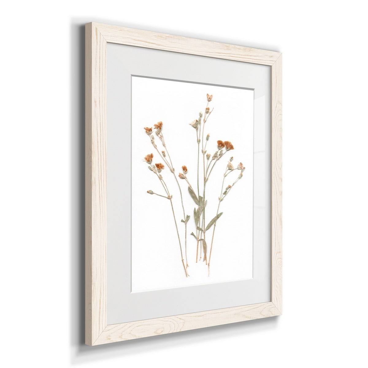 Walnut Framed Print 23X32 S406