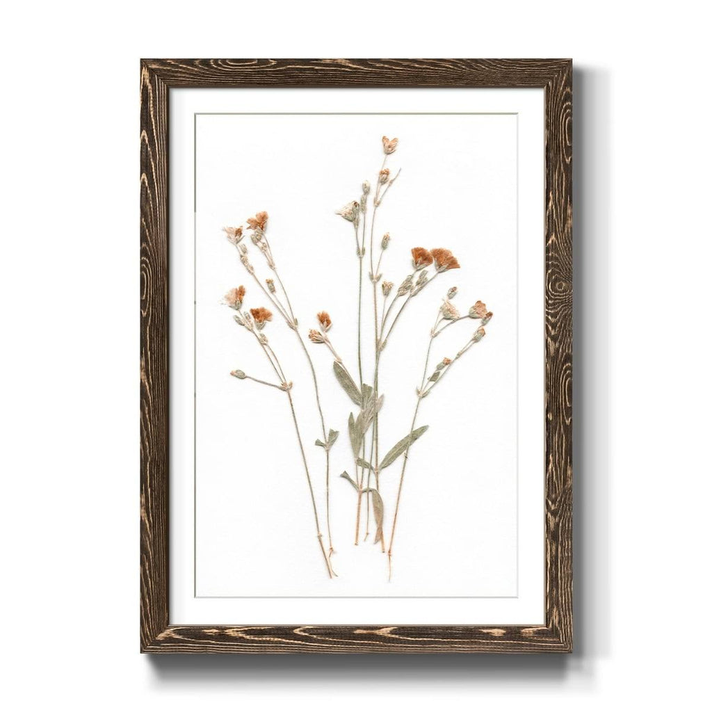 Walnut Framed Print 23X32 S406