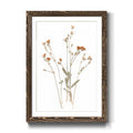 Walnut Framed Print 23X32 S406