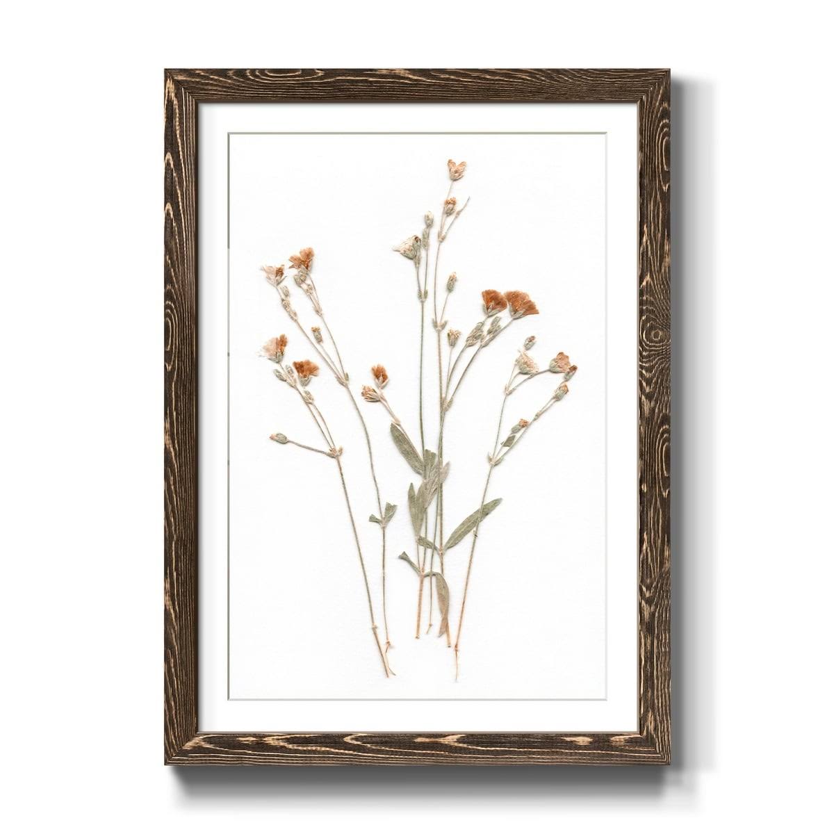 Walnut Framed Print 23X32 S406