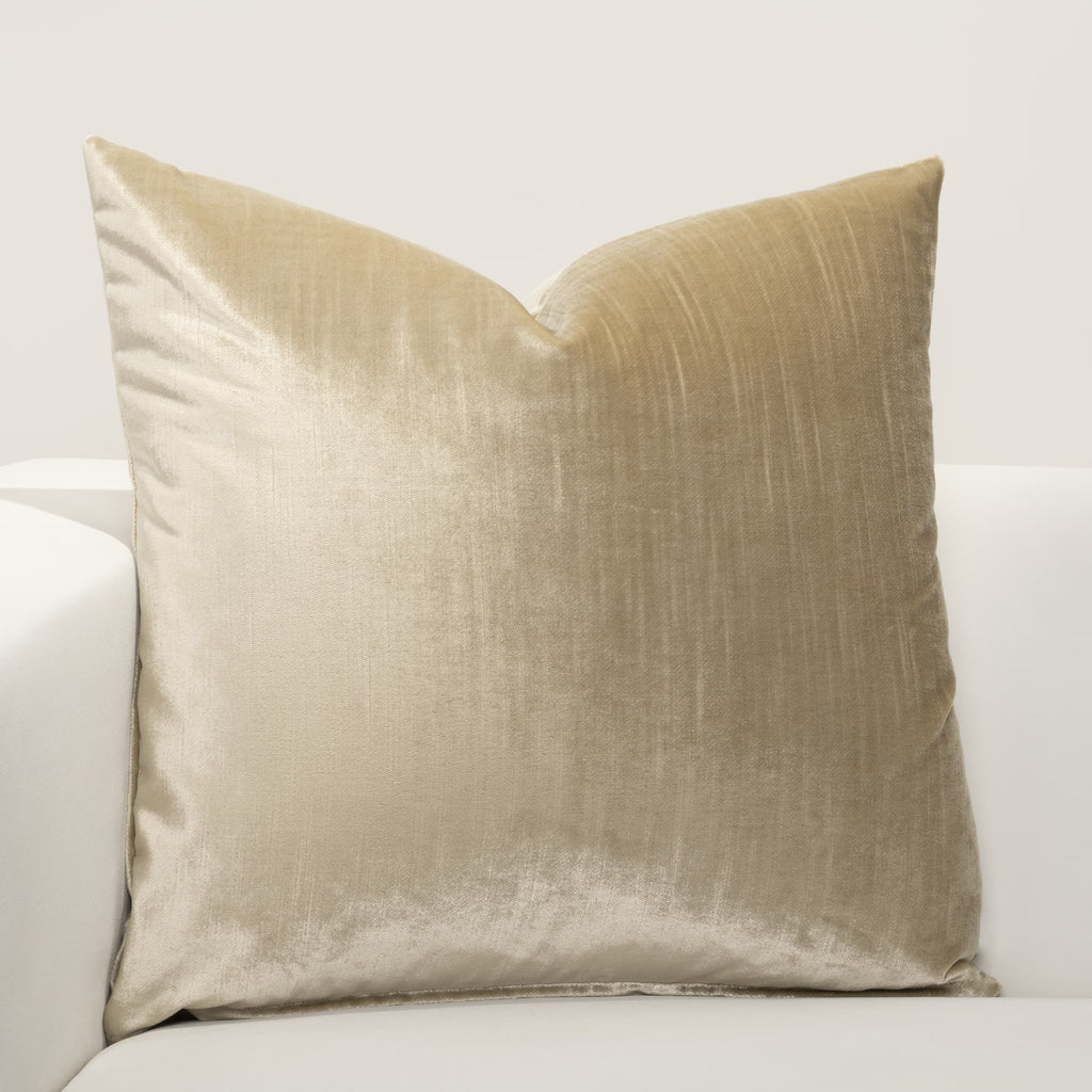 Washable Velvet Throw Pillow 22" x 22" V449847