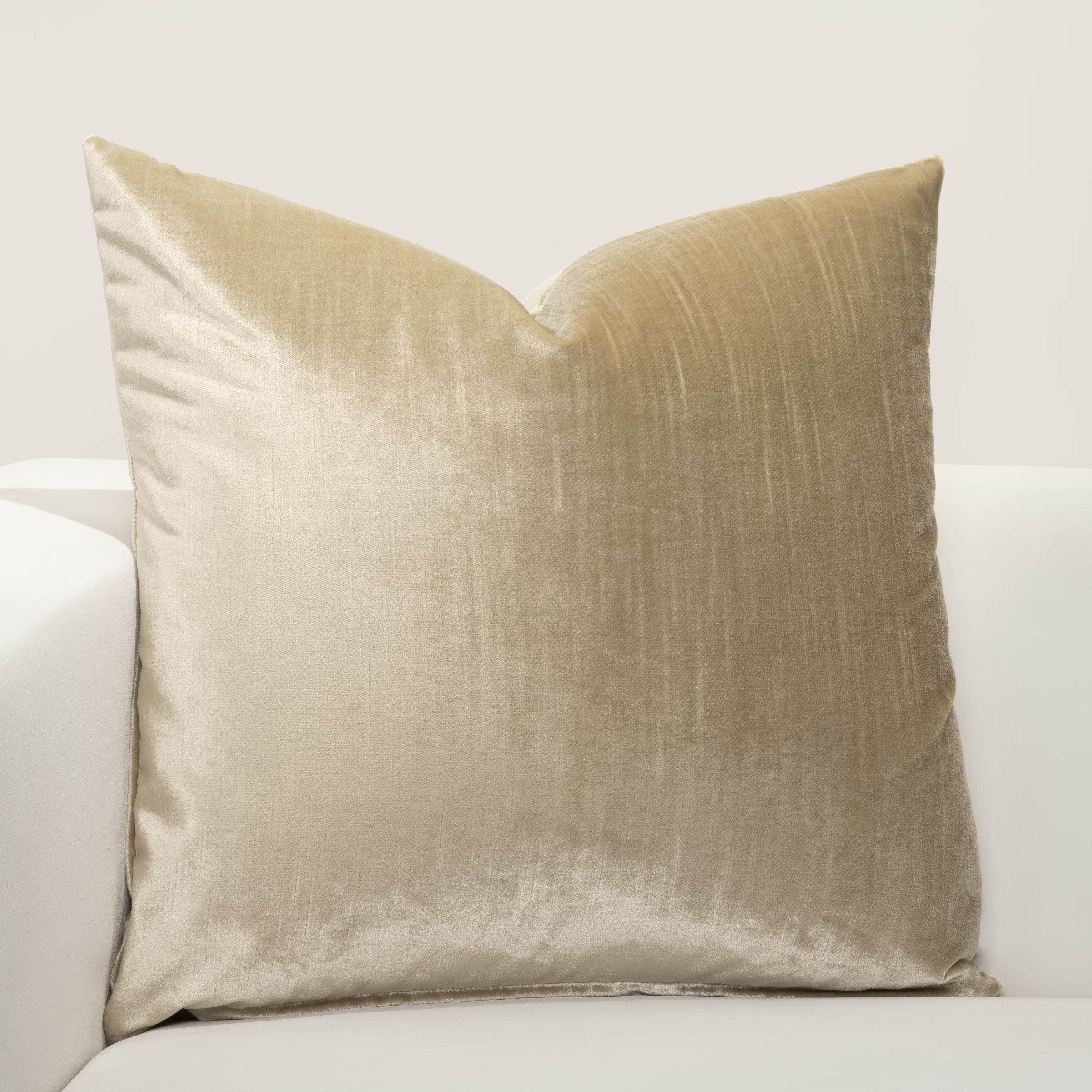 Washable Velvet Throw Pillow 22" x 22" V449847