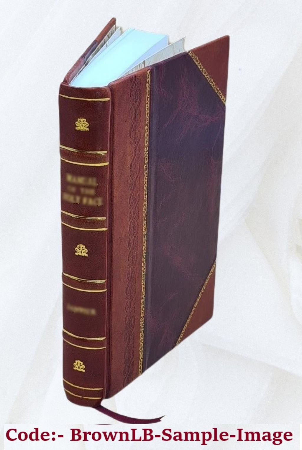 Leather Bound Book X399168