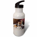 21 oz Sports Water Bottle O870