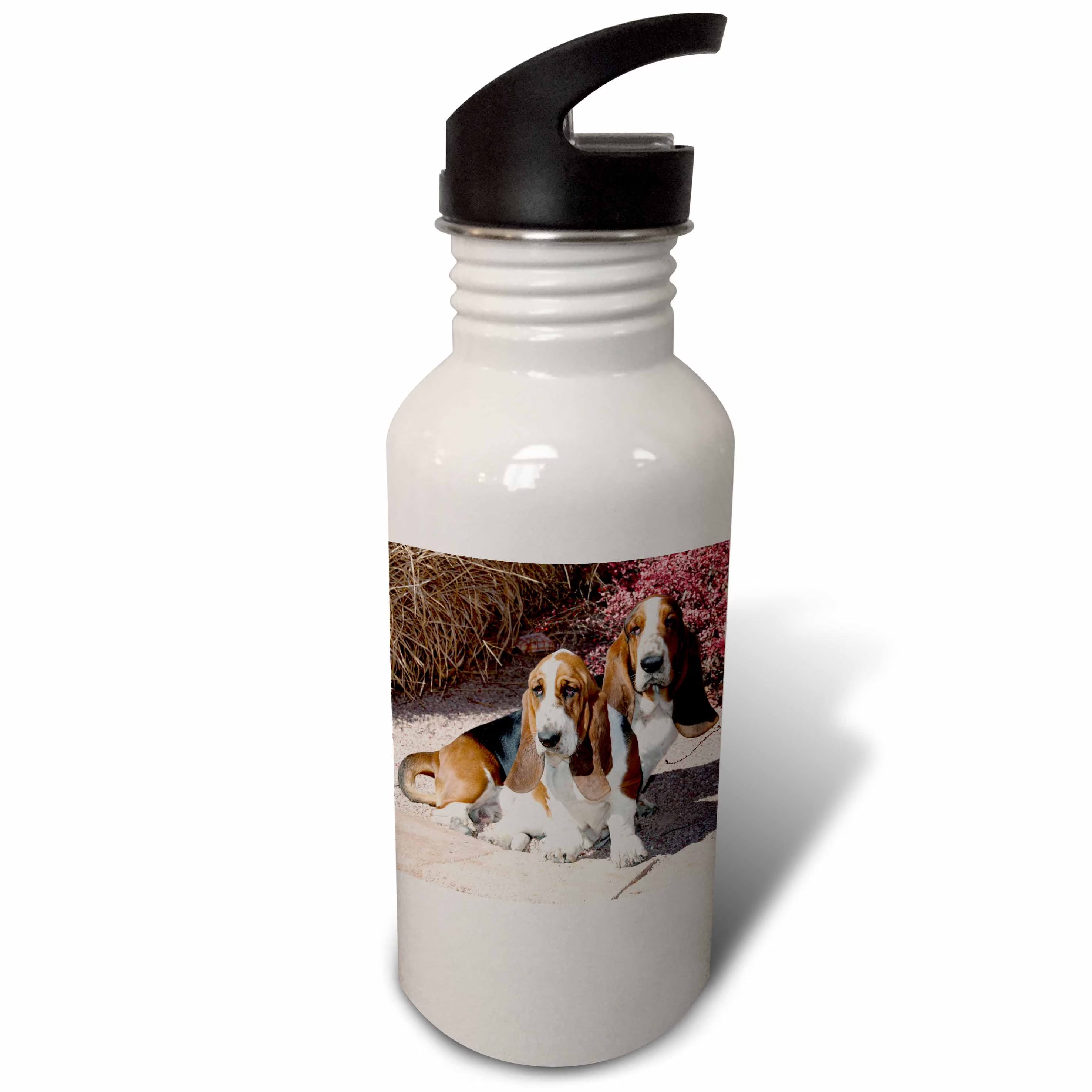 21 oz Sports Water Bottle O870