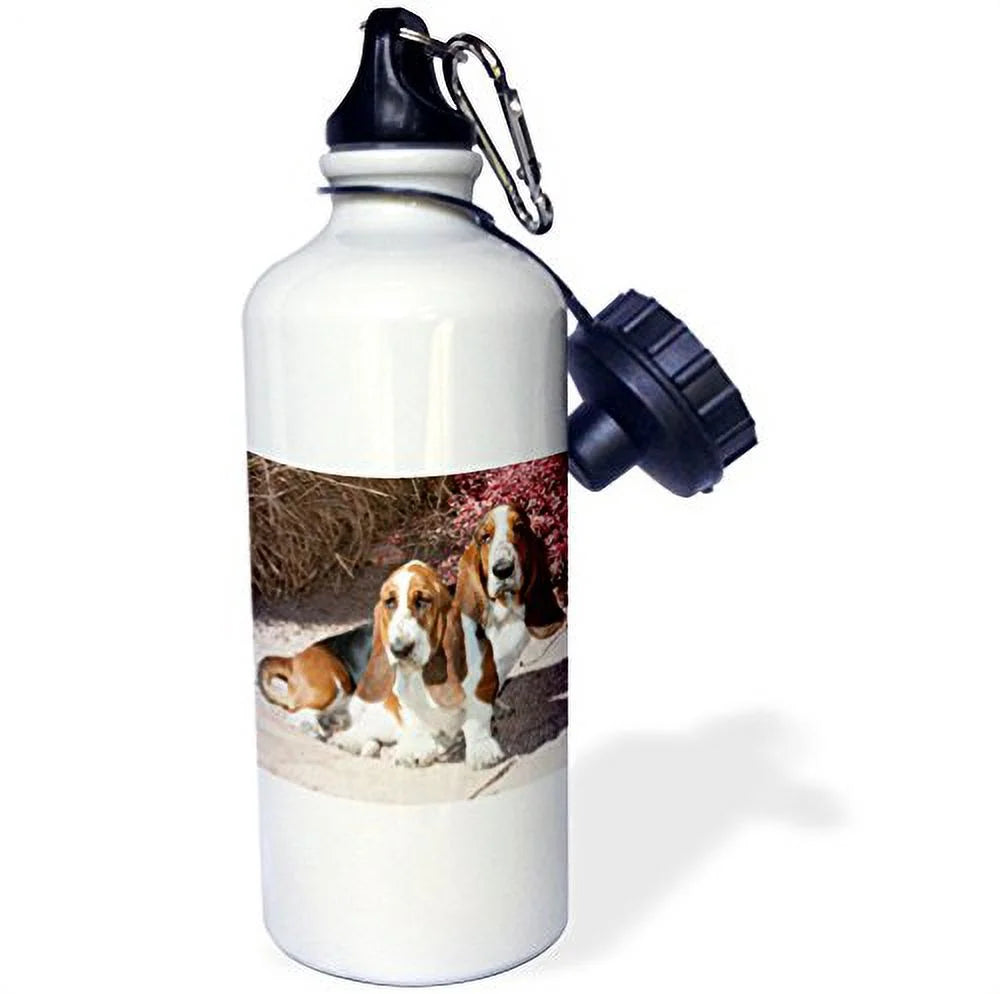 21 oz Sports Water Bottle O870