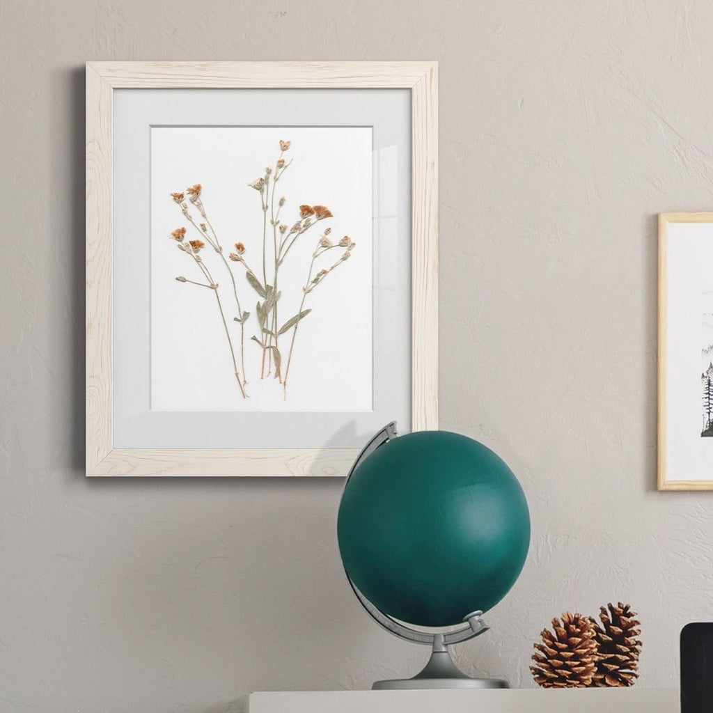 Walnut Framed Print 23X32 S406