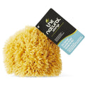7 in. Natural Sea Sponge (Case of 6) X9923