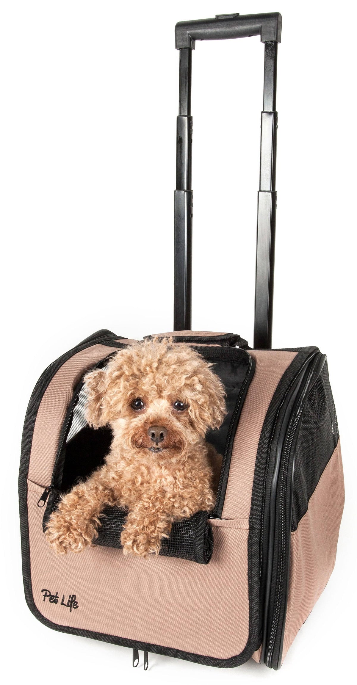 Brown Wheeled Travel Pet Carrier Q61010