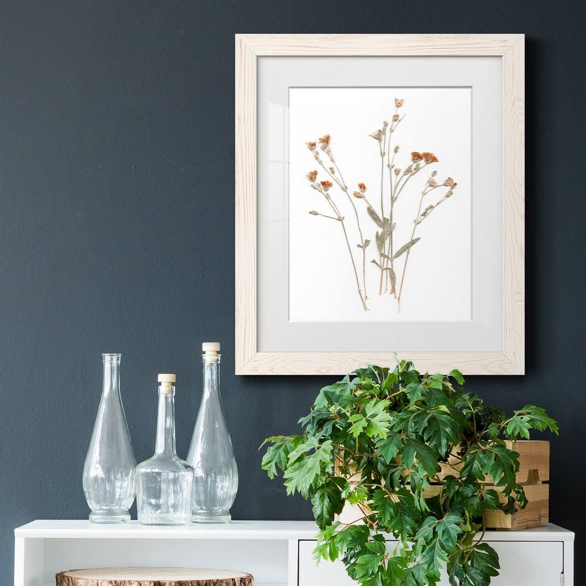 Walnut Framed Print 23X32 S406