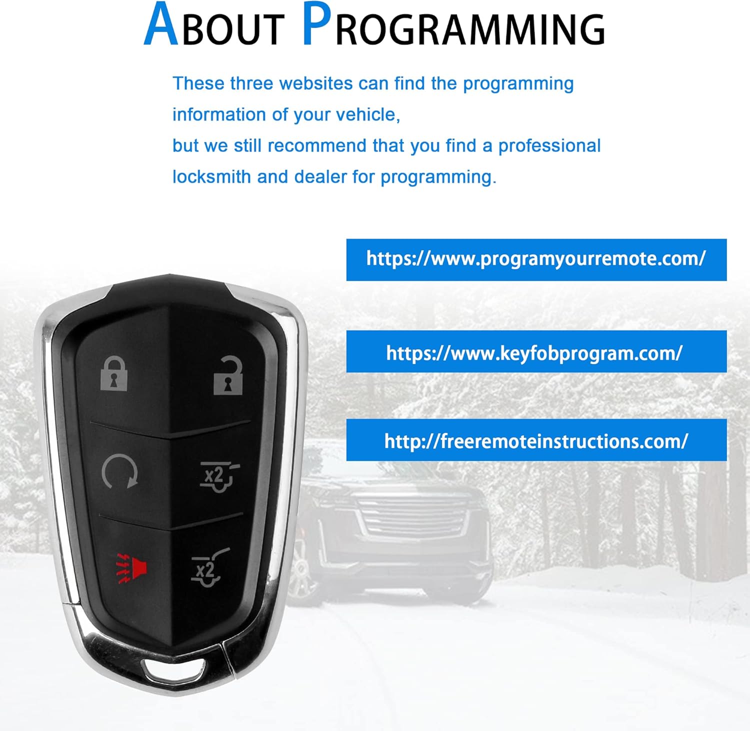 6-Btn Key Fob Remote Control Replacement Keyless Entry Pack of 2 G8389