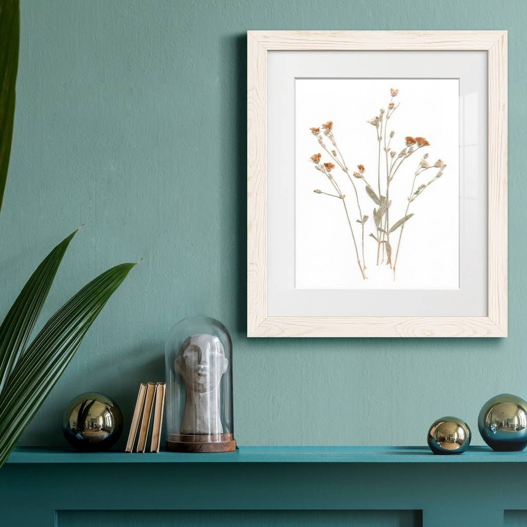 Walnut Framed Print 23X32 S406