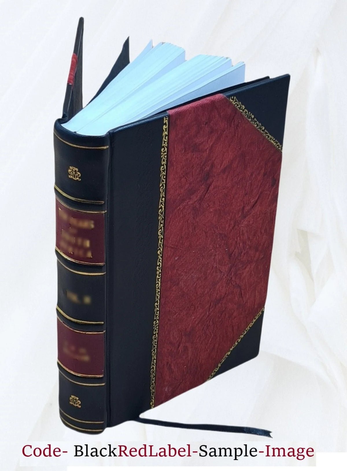 Leather Bound Book X399168